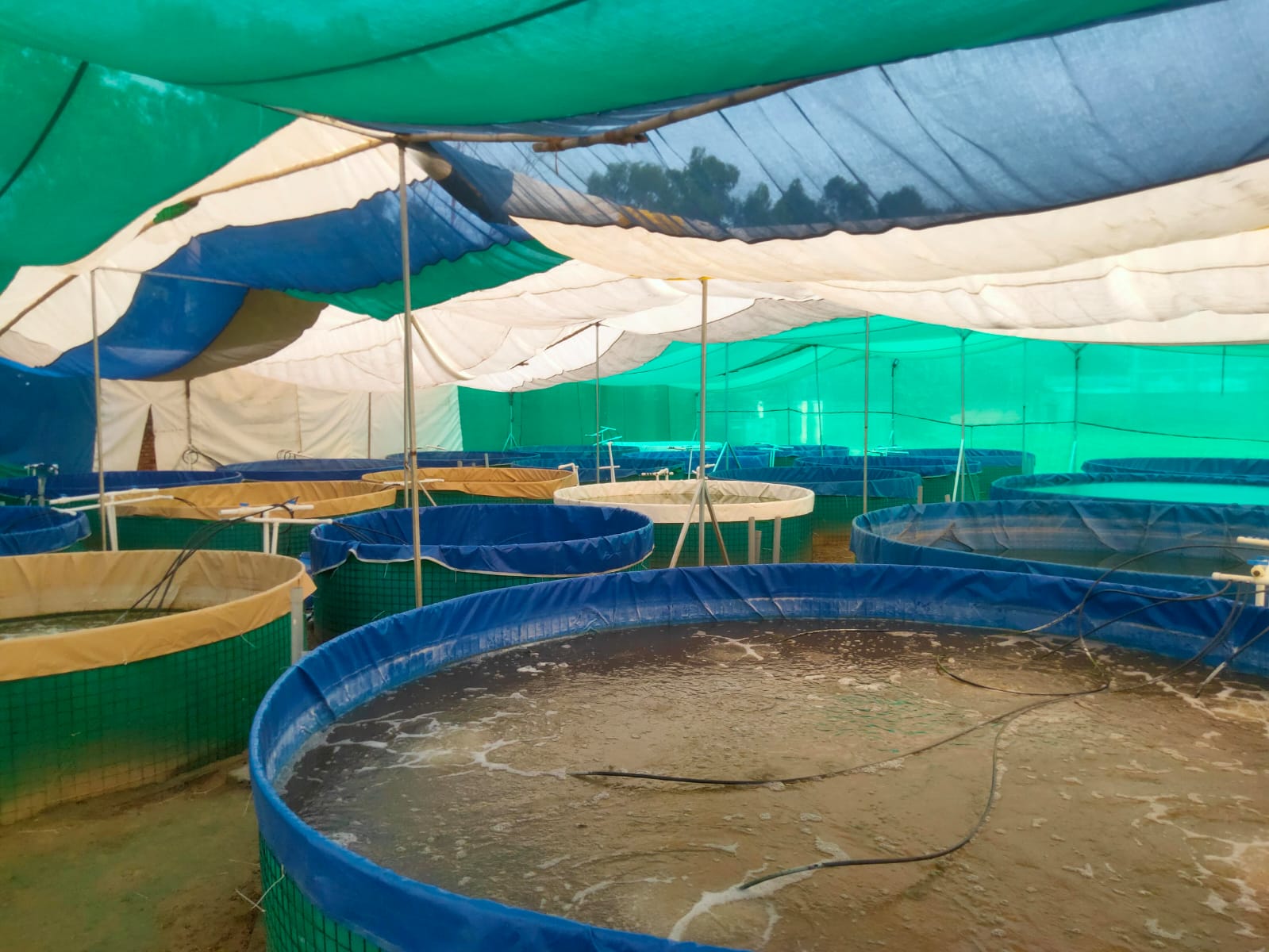 WhatsApp Image 2024-06-22 at 23.23.46