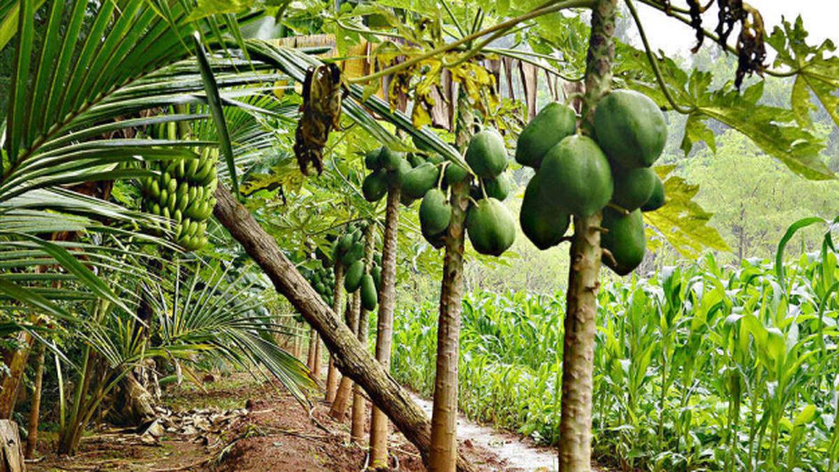 17bg_bgsat_Agri18BG_GKVK__KRISHIME